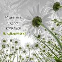 ���� ������, ������� - ��������� 19 ������� 2026 � ������ ���� ����������