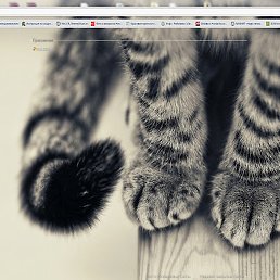 Ayse, ������, 42 ����