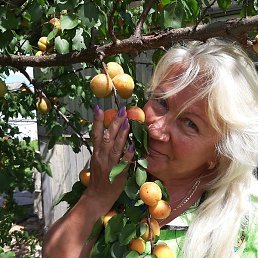 ����, ������, 61 ���