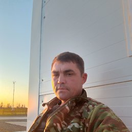 , 39, 