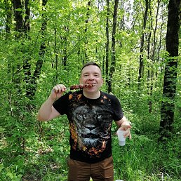 ������, 48 ���, ��������