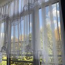 ���� ����, ������, 65 ��� - ��������� 8 ������ 2026 � ������ ���� ����������