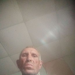 , 53, 