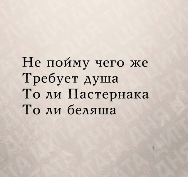 ������-�e�pecc���� - 5