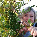 ���� �������, ������ ��������, 66 ��� - ��������� 21 ����� 2024 � ������ ���� ����������