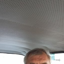 , 53, 
