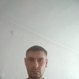 , , 41 