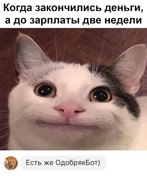    - vk.me/odobryak_bot