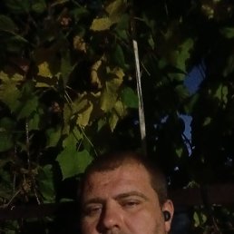 , 37, 