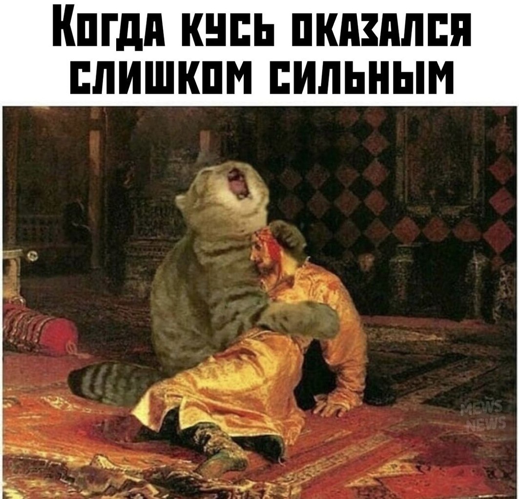   - 29  2025  18:37