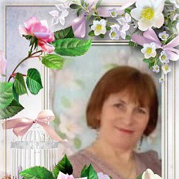 , 53, 