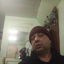 ���� �����, ������, 44 ���� - ��������� 23 ������� 2026