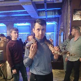 , 46, 