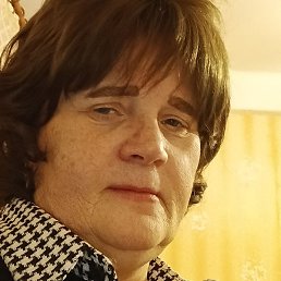 ����, �����-���������, 62 ����