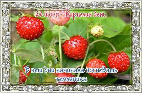 Именины: Рафаил, Марианна, Александр, Алексей, Мария, Иван, Марфа, Кирилл, Фекла