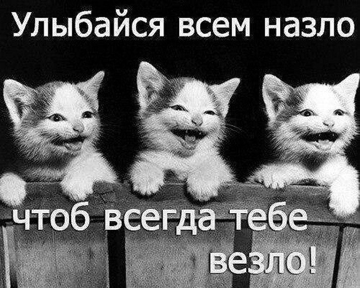 ? ,  ! - 16  2025  22:39