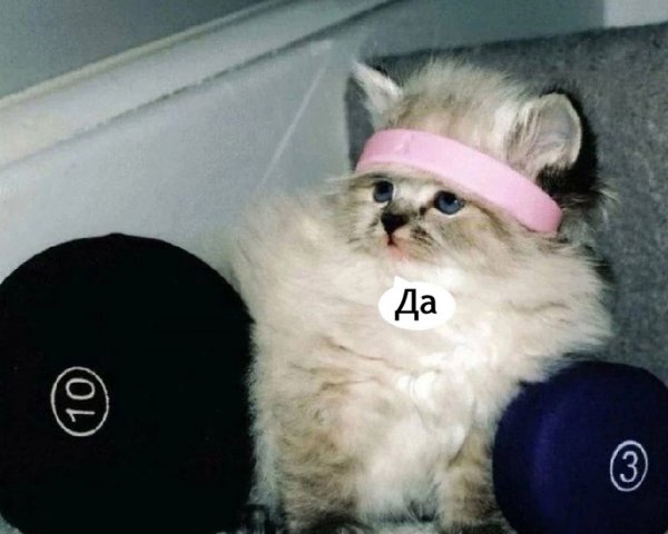 25+  - 2