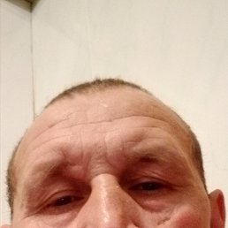 ������, 47 ���, �������