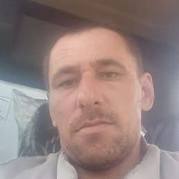 ����, �������������, 41 ���