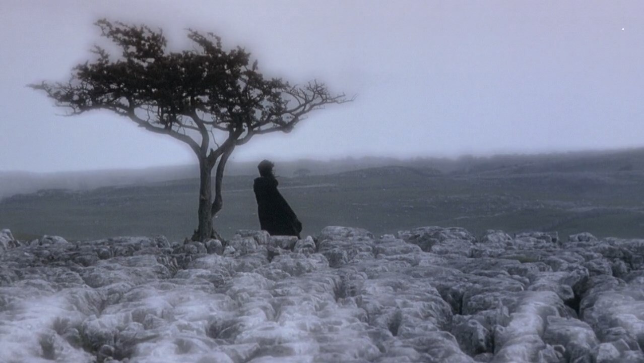   / Wuthering Heights, 1992.dir. Peter Kosminskycin. Mike Southon - 8