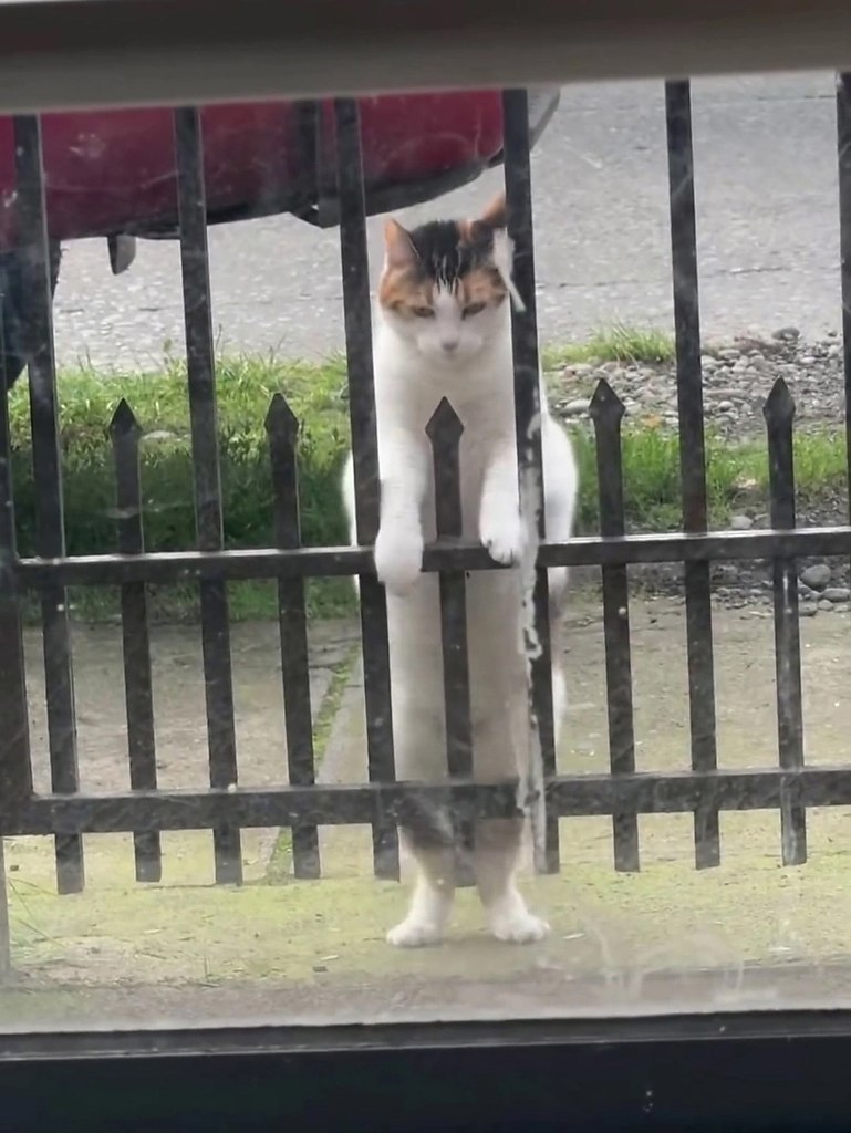     !