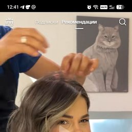 ����, 38 ���, ���������