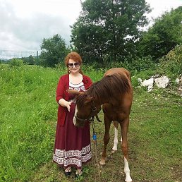 �������, ���������, 70 ���