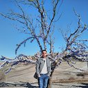 ���� Sadi, ������, 34 ���� - ��������� 23 ��� 2026