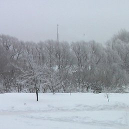 �����, �����-���������, 53 ����