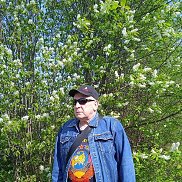 , 66 , 