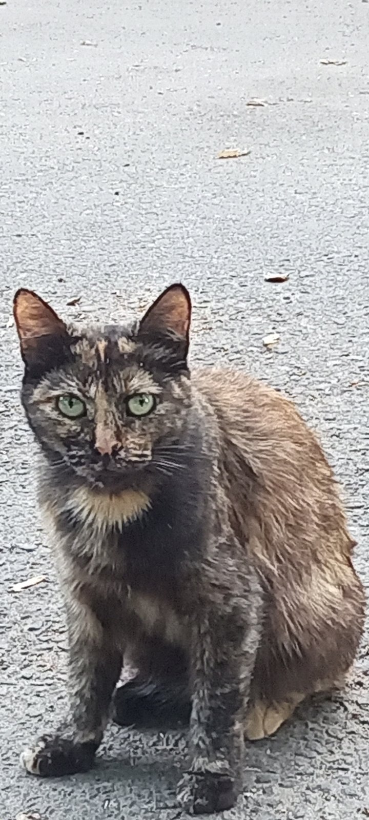 ����� - 13 ������ 2025 � 19:09