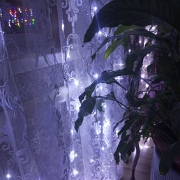 ���� ����, ���������, 45 ��� - ��������� 18 ������ 2026