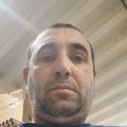 , , 44 