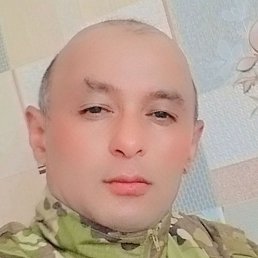, , 44 