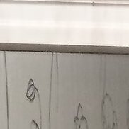 �����, 47 ���, ���������