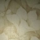 ���� �����, �������, 37 ��� - ��������� 10 ������ 2024 � ������ ���� ����������
