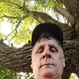 , 60 , 