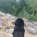 ���� ���������, ��������������, 41 ��� - ��������� 5 ������� 2024 � ������ ���� ����������
