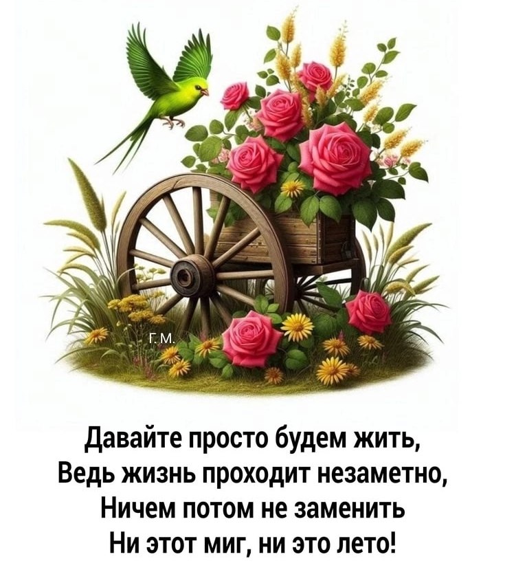   ,    . - 18  2025  17:55