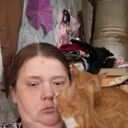 , 43 , 