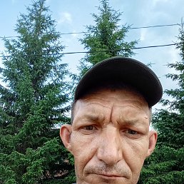 , 41, 