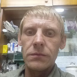 ���������, �����-���������, 41 ���