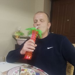 ������ �����, 41 ���, ���������