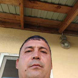 , 42,  