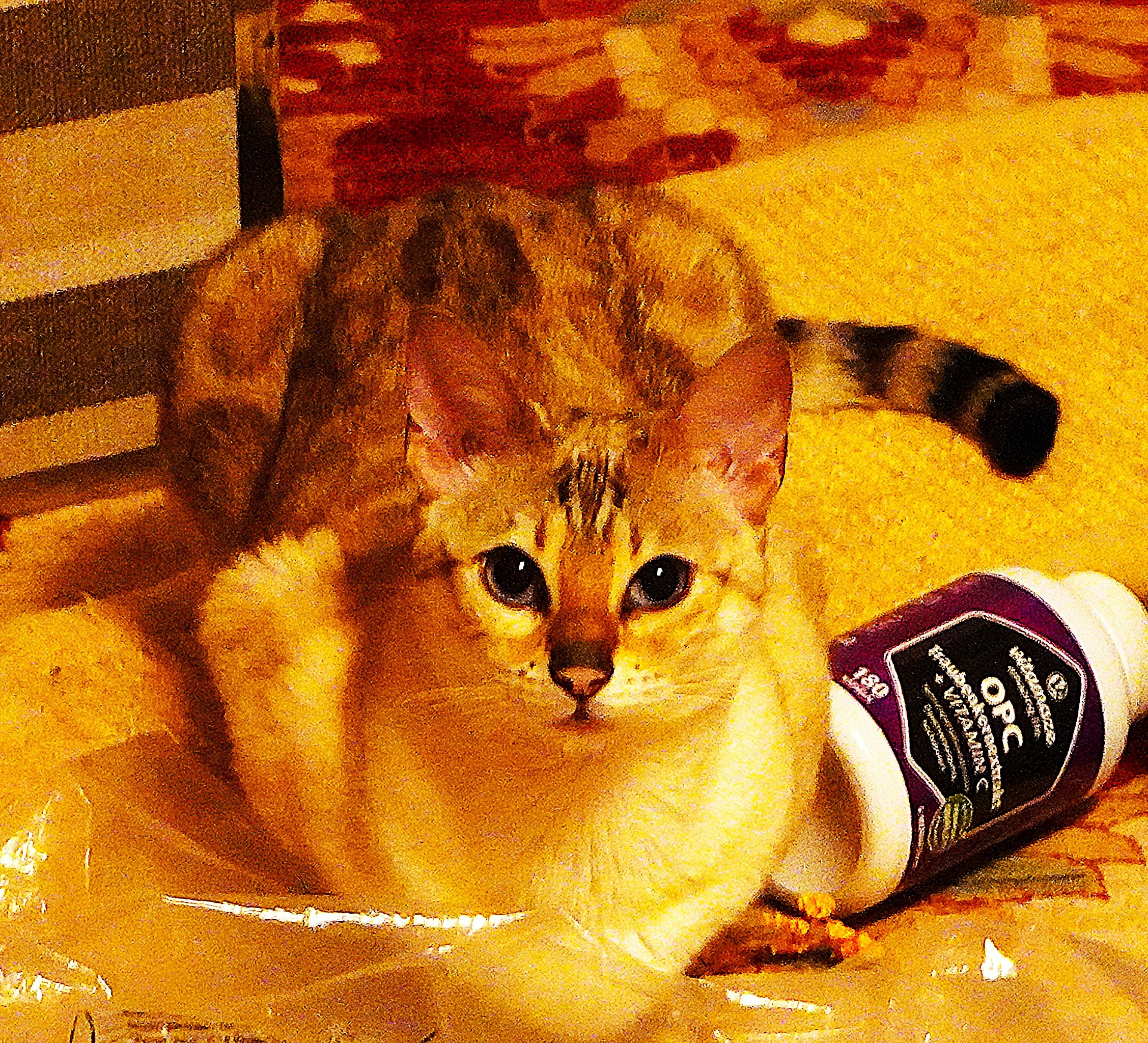 Uegenia Seidel - 6  2025  19:39