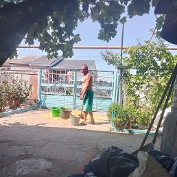 ������� �������, ������, 46 ���