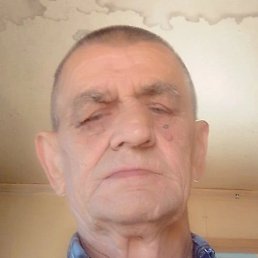 ����, �������-���������, 66 ���