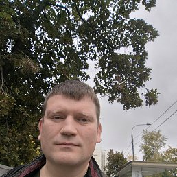 ����, 41 ���, ����