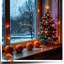 ���� ����, �����-��������� - ��������� 14 ������� 2025 � ������ ������ ��������