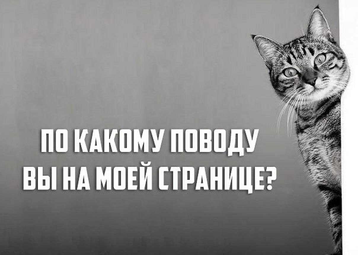 Елена - 11 октября 2025 в 20:53